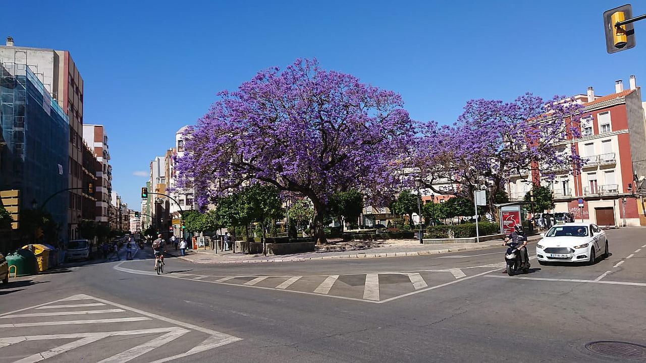 Victoria Citycenter Apartment Málaga Dış mekan fotoğraf
